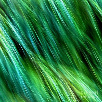 Meditations on Movement in Nature by Joanne Bartone Meditations on Movement in Nature by Joanne Bartone