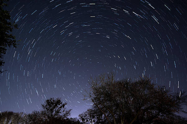 Wall Art - Photograph - 20 Minutes Of Star Movement by Todd Aaron
