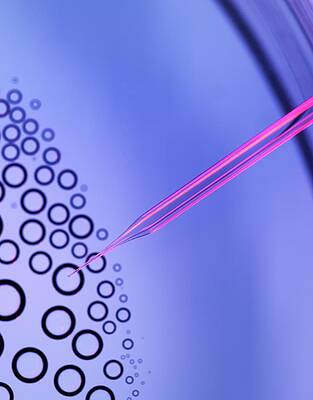 Wall Art - Photograph - Stem Cell Research #21 by Science Photo Library