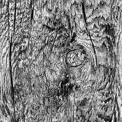 Wall Art - Photograph - Wooden Post B 'n' W by Jason Roust