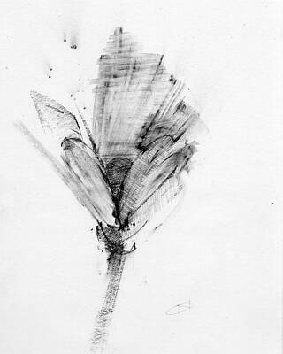 Wall Art - Drawing - Untitled #358 by Chris N Rohrbach