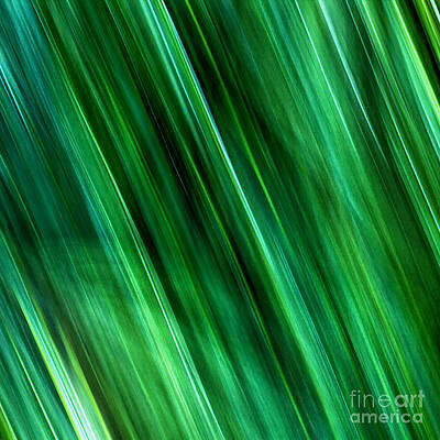 Meditations on Movement in Nature by Joanne Bartone Meditations on Movement in Nature by Joanne Bartone