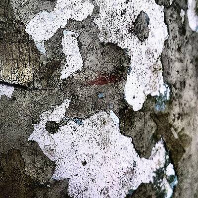 Wall Art - Photograph - Lamppost 5 by Jason Roust