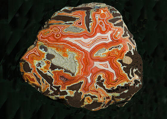 Wall Art - Photograph - Agate Geode #3 by Millard H. Sharp