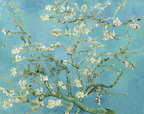 Almond blossom Print by Vincent van Gogh