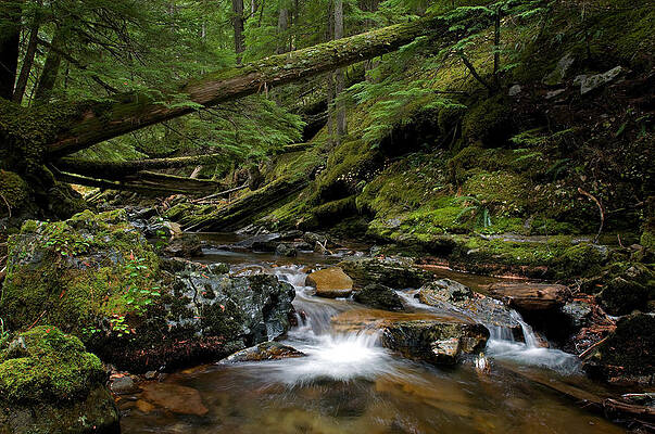Wall Art - Photograph - Boulder Creek #3 by Theodore Clutter