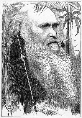 Wall Art - Painting - Charles Robert Darwin (1809-1882) #3 by Granger