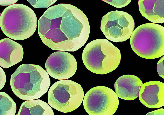 Wall Art - Photograph - Crystals Of Fine Cadmium Powder #3 by Science Photo Library