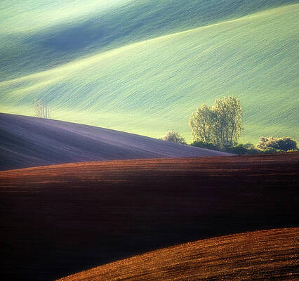 Wall Art - Photograph - Fields... #3 by Krzysztof Browko