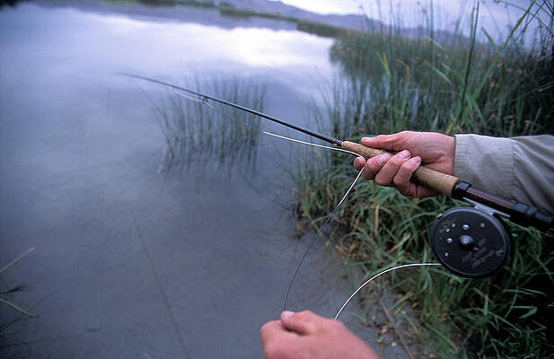 Fly Fishing Rod Photos for Sale - Fine Art America