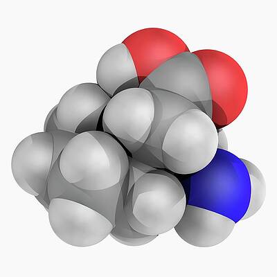 gabapentin drug molecule