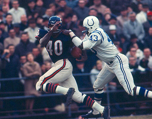 Wall Art - Photograph - Gale Sayers #3 by Retro Images Archive