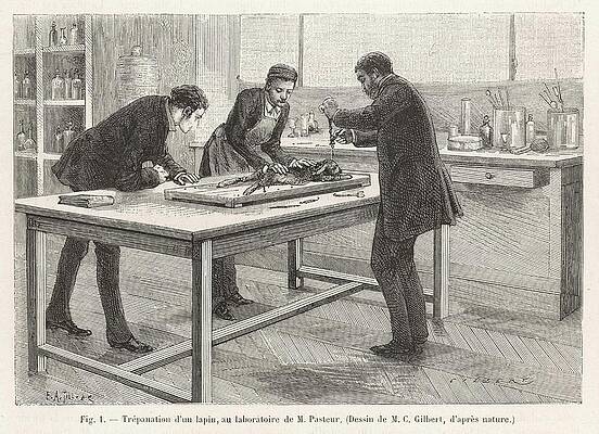 Louis Pasteur Directed Drawing 