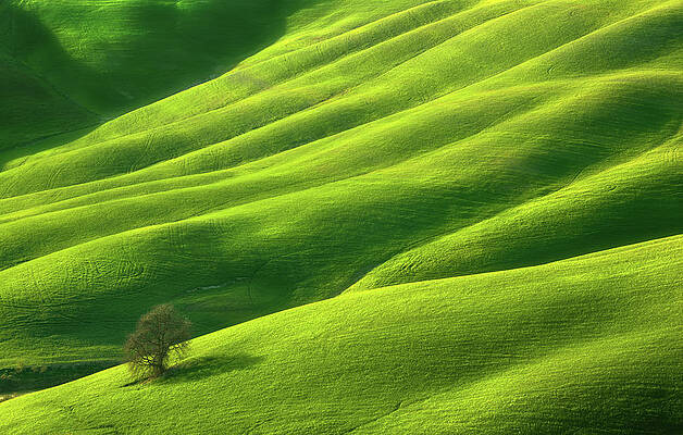 Wall Art - Photograph - One... #3 by Krzysztof Browko