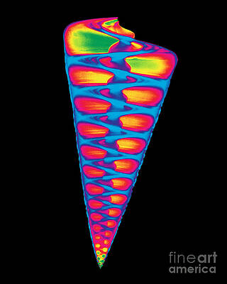 Wall Art - Photograph - X-ray Of Top Shell #9 by Bert Myers