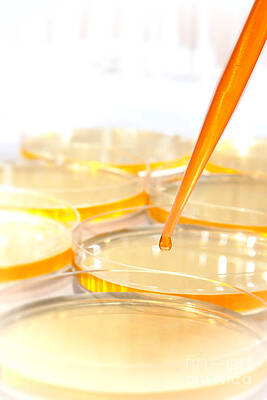 Wall Art - Photograph - Laboratory Experiment in Science Research Lab #31 by Science Research Lab