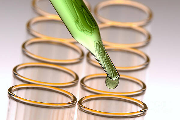 Wall Art - Photograph - Laboratory Test Tubes in Science Research Lab #31 by Science Research Lab