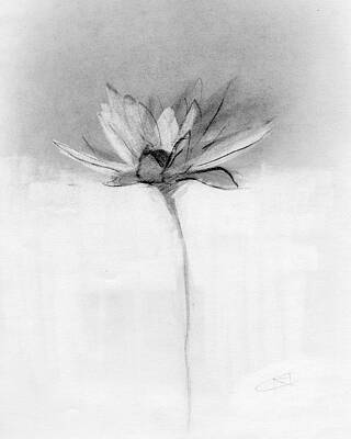 Wall Art - Drawing - Untitled #31 by Chris N Rohrbach