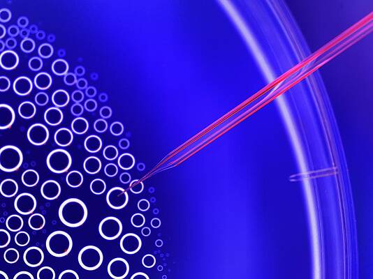 Wall Art - Photograph - Stem Cell Research #31 by Science Photo Library