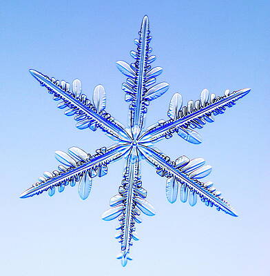 Wall Art - Photograph - Snowflake #33 by Science Photo Library