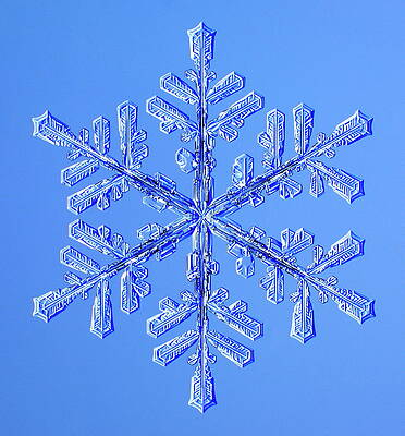Wall Art - Photograph - Snowflake #35 by Science Photo Library