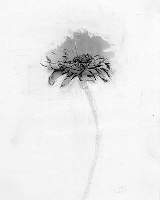 Wall Art - Drawing - Untitled #14 by Chris N Rohrbach
