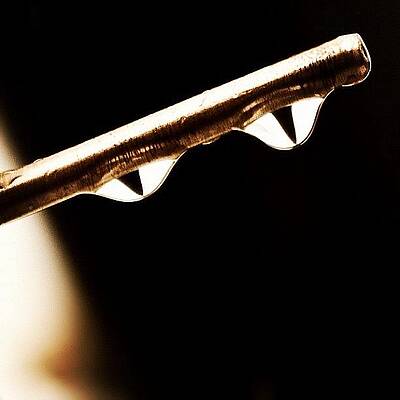 Wall Art - Photograph - Instagram Photo #371379054218 by Cody Haskell