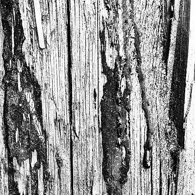 Wall Art - Photograph - Wooden Post B 'n' W 2 by Jason Roust