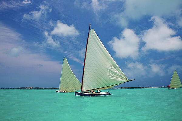 Wall Art - Photograph - Bahamian Racing Sloop At The Annual #4 by Panoramic Images