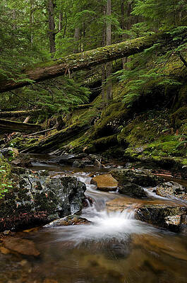 Wall Art - Photograph - Boulder Creek #4 by Theodore Clutter