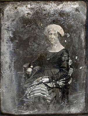dolley todd evi
