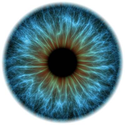 Wall Art - Photograph - Eye #4 by Science Photo Library