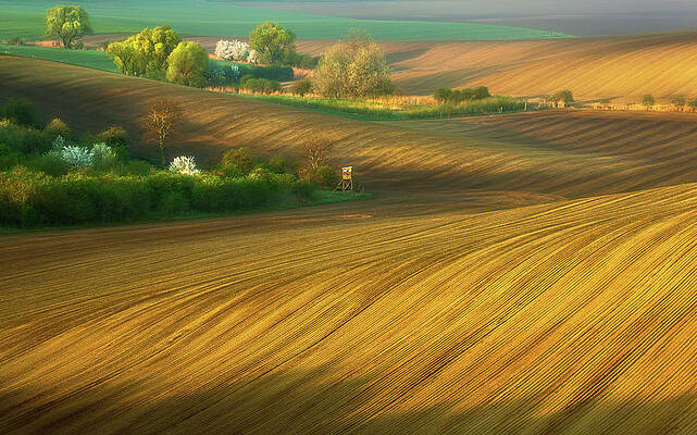 Wall Art - Photograph - Fields... #4 by Krzysztof Browko