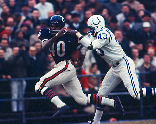 Wall Art - Photograph - Gale Sayers #4 by Retro Images Archive
