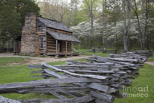 Wall Art - Photograph - Great Smoky Mountains National Park #4 by Jim West