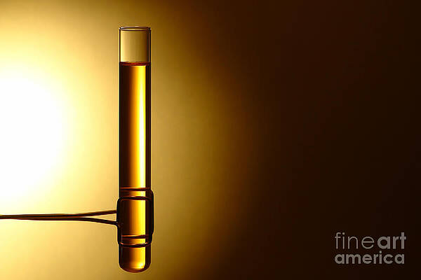 Wall Art - Photograph - Laboratory Test Tube in Science Research Lab #4 by Science Research Lab