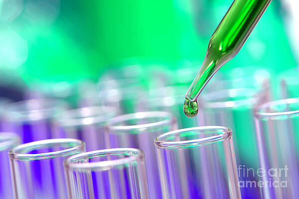 Wall Art - Photograph - Laboratory Test Tubes in Science Research Lab #4 by Science Research Lab