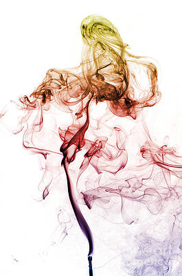 Wall Art - Photograph - Smoke From A Match #4 by Scott Camazine