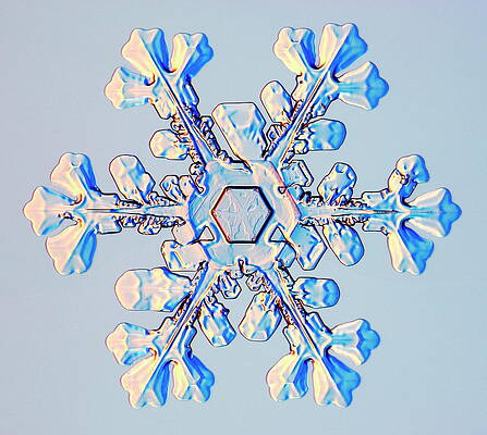 Wall Art - Photograph - Snowflake #4 by Science Photo Library