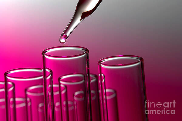 Wall Art - Photograph - Test Tubes in Science Research Lab #4 by Science Research Lab