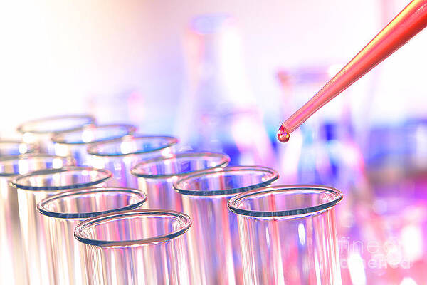 Wall Art - Photograph - Laboratory Test Tubes in Science Research Lab #40 by Science Research Lab