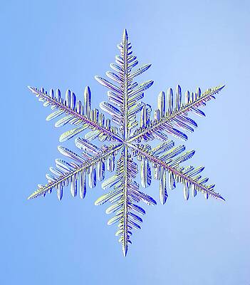 Wall Art - Photograph - Snowflake #40 by Science Photo Library