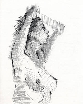 Wall Art - Drawing - Untitled #367 by Chris N Rohrbach