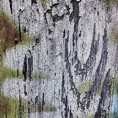 Wall Art - Photograph - Wooden Wall 2 by Jason Roust