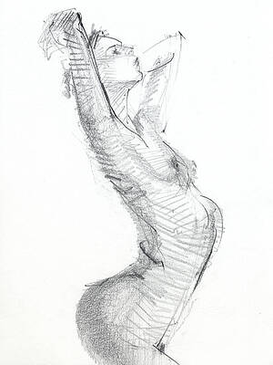 Wall Art - Drawing - Untitled #444 by Chris N Rohrbach