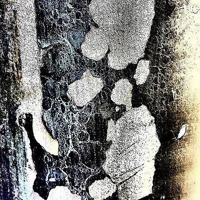 Wall Art - Photograph - Lamppost 4 by Jason Roust
