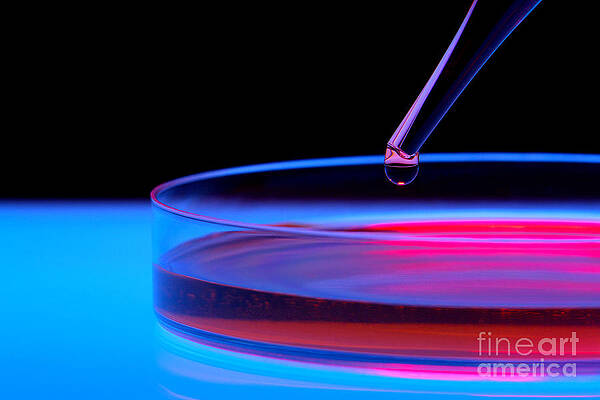Wall Art - Photograph - Laboratory Experiment in Science Research Lab #45 by Science Research Lab