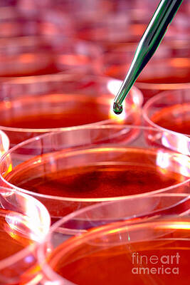 Wall Art - Photograph - Laboratory Experiment in Science Research Lab #46 by Science Research Lab