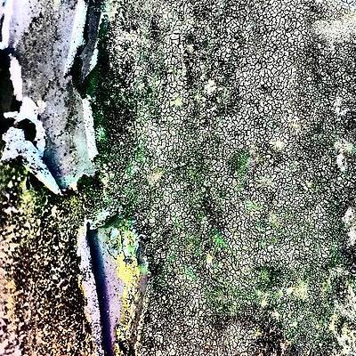 Wall Art - Photograph - Textured 6 by Jason Roust
