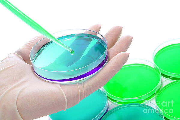 Wall Art - Photograph - Laboratory Experiment in Science Research Lab #49 by Science Research Lab